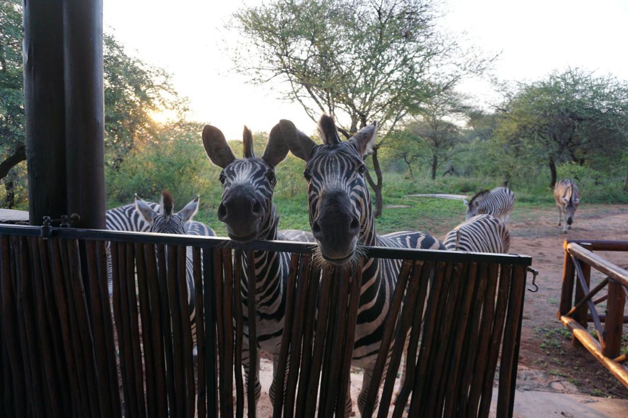 Giraffe Plains Villa Marloth Park Exterior photo